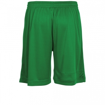 Stanno Field Shorts Grün